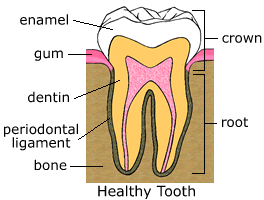when a tooth needs a root canal treatment